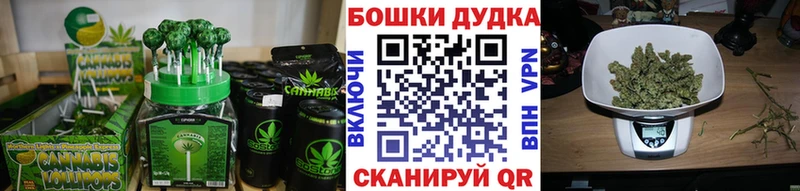 Купить закладки  Назарово  Canna-Cookies конопля 