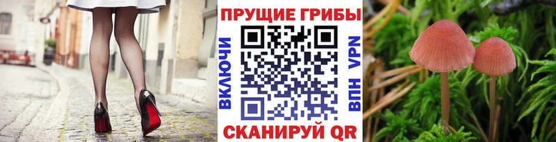 Купить  Назарово  Галлюциногенные грибы ЛСД 